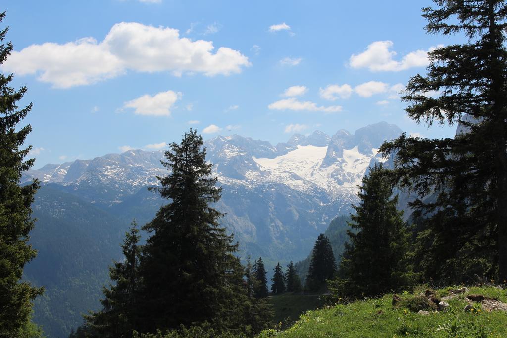 Salzburger Dolomitenhof 애나버그임라메탈 외부 사진