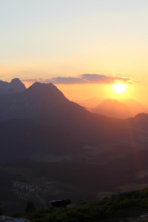 Salzburger Dolomitenhof 애나버그임라메탈 외부 사진