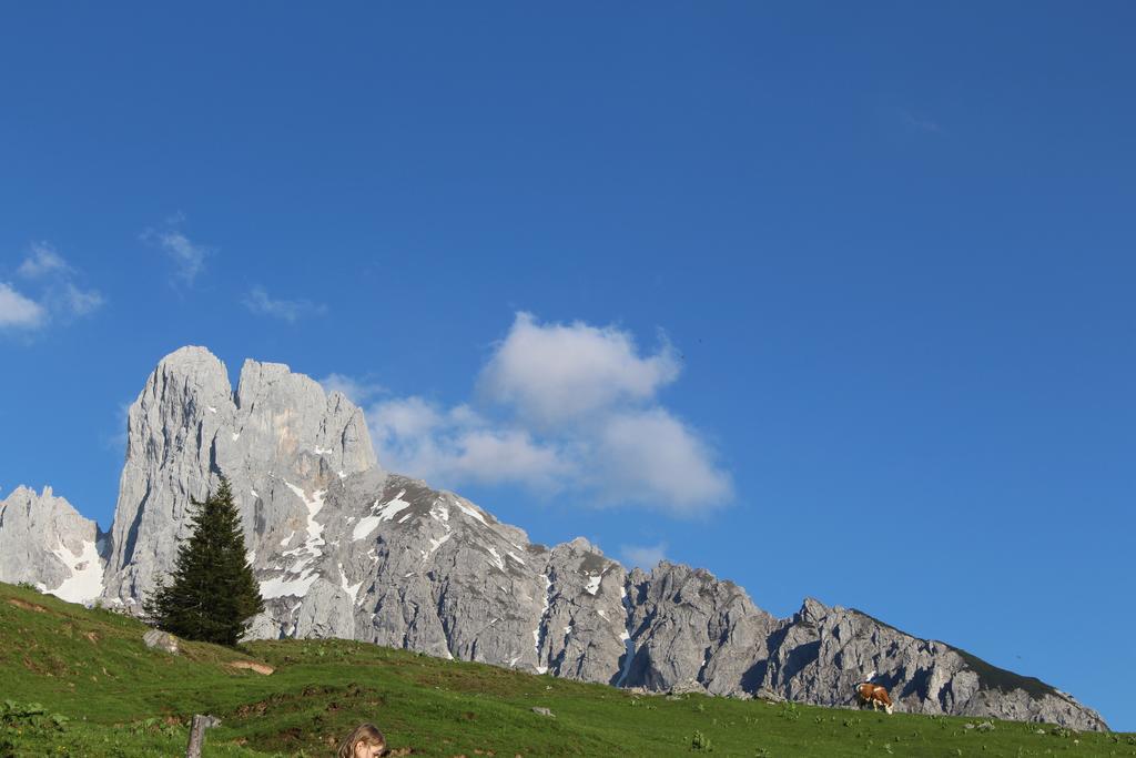 Salzburger Dolomitenhof 애나버그임라메탈 외부 사진