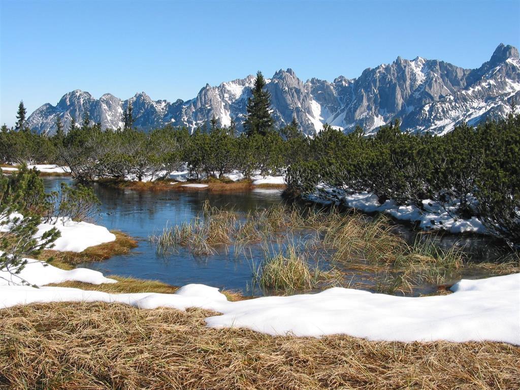 Salzburger Dolomitenhof 애나버그임라메탈 외부 사진