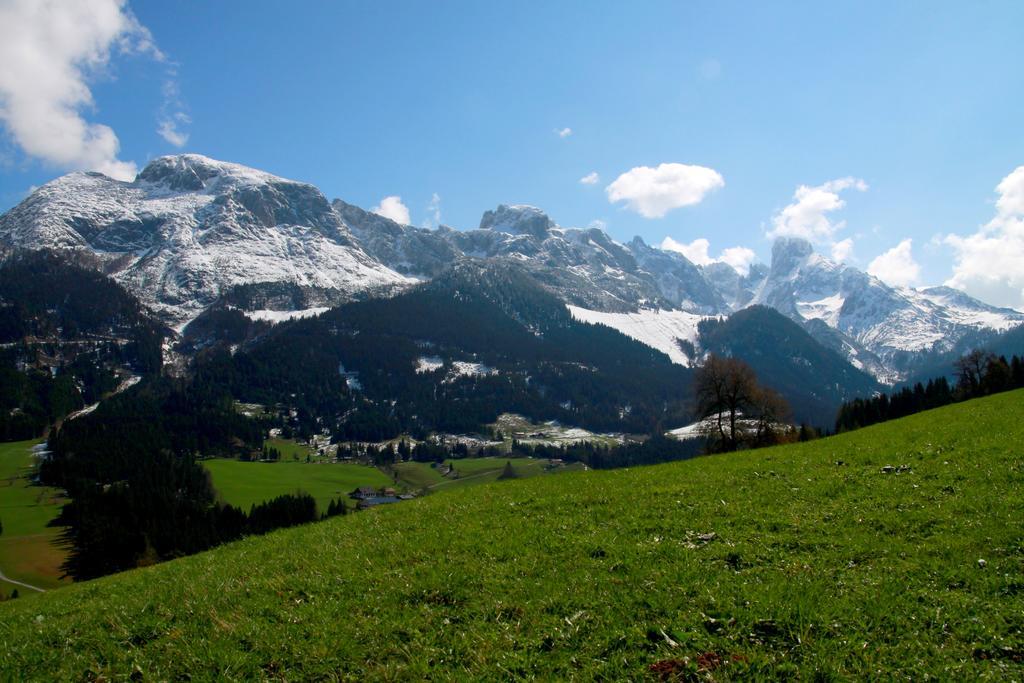 Salzburger Dolomitenhof 애나버그임라메탈 외부 사진