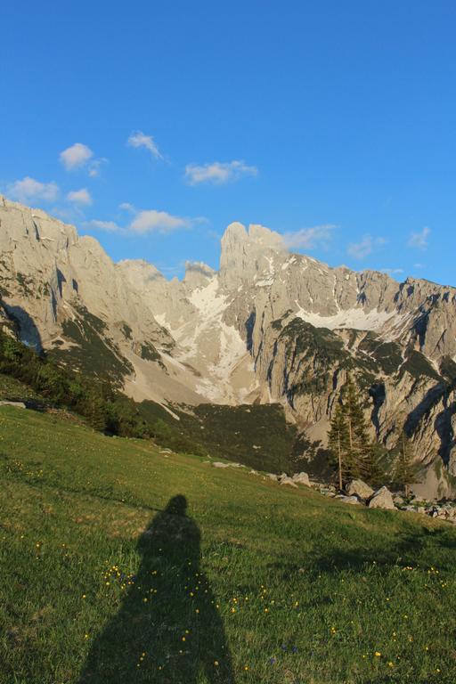 Salzburger Dolomitenhof 애나버그임라메탈 외부 사진