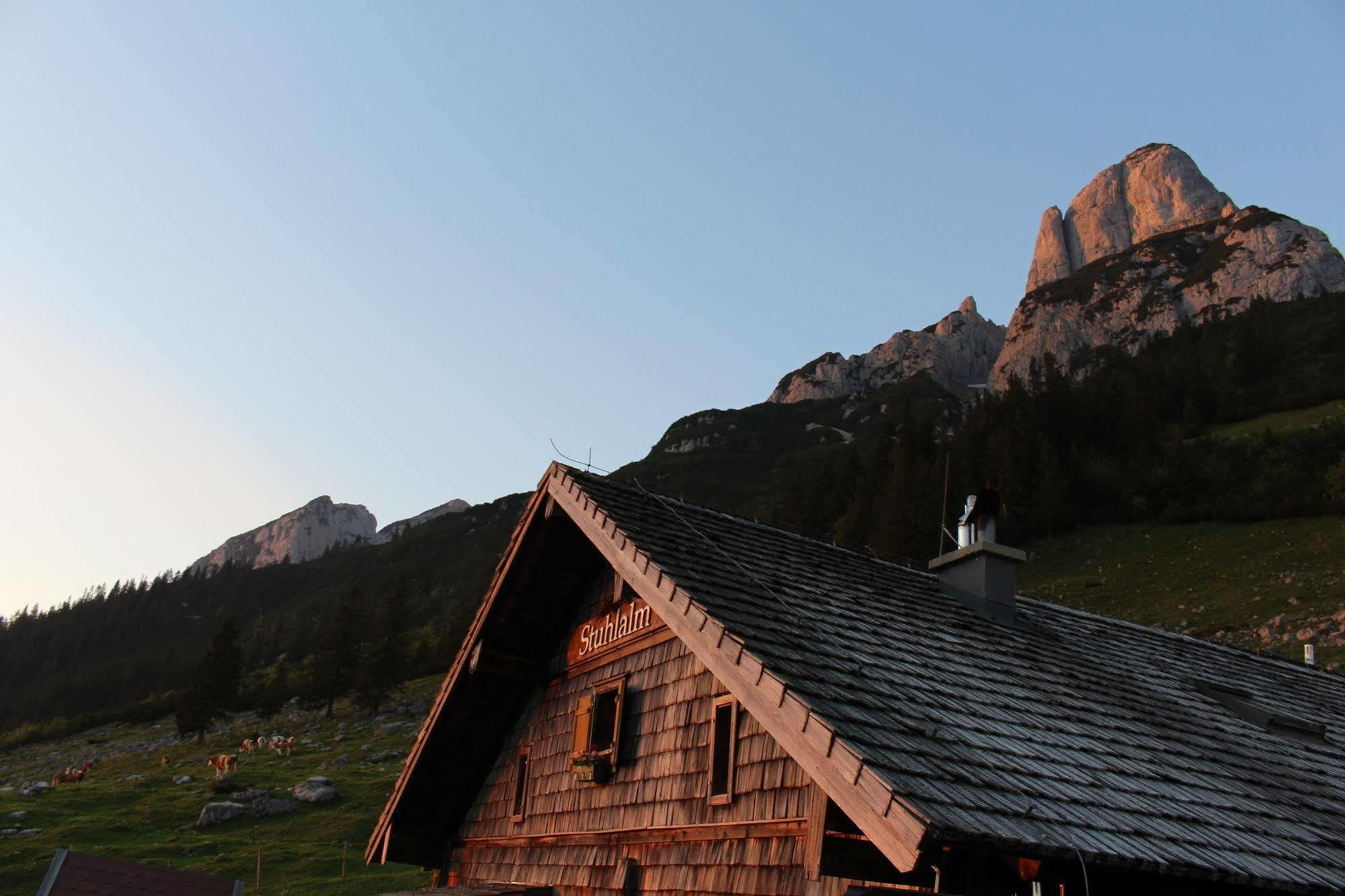 Salzburger Dolomitenhof 애나버그임라메탈 외부 사진